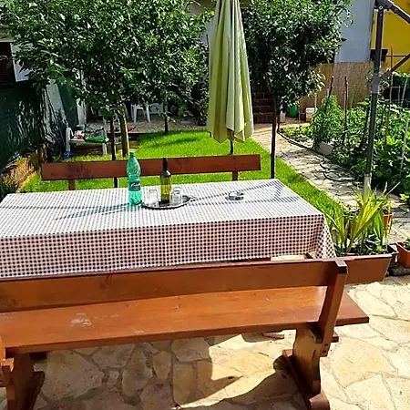 Olea