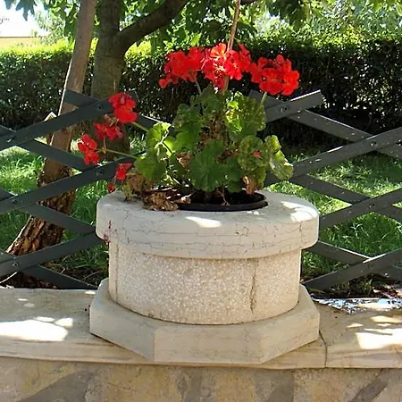 Olea فندق بوريتش
