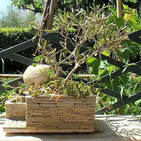 Olea 3* Porec