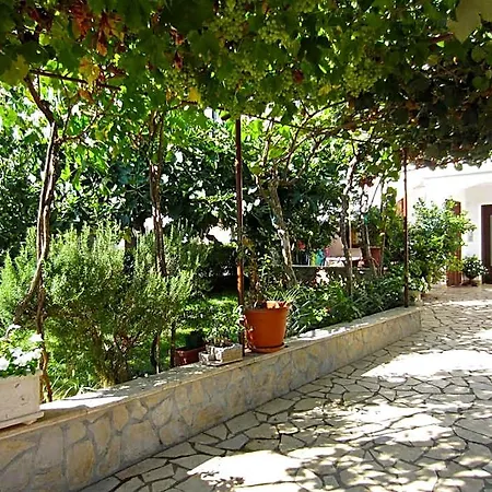 Olea 3* بوريتش